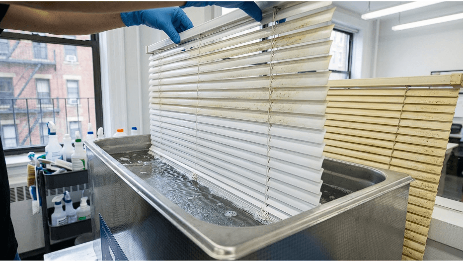 Professionals cleaning blinds