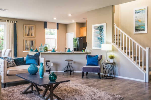 Kitchen, livingroom, d&eacute;cor