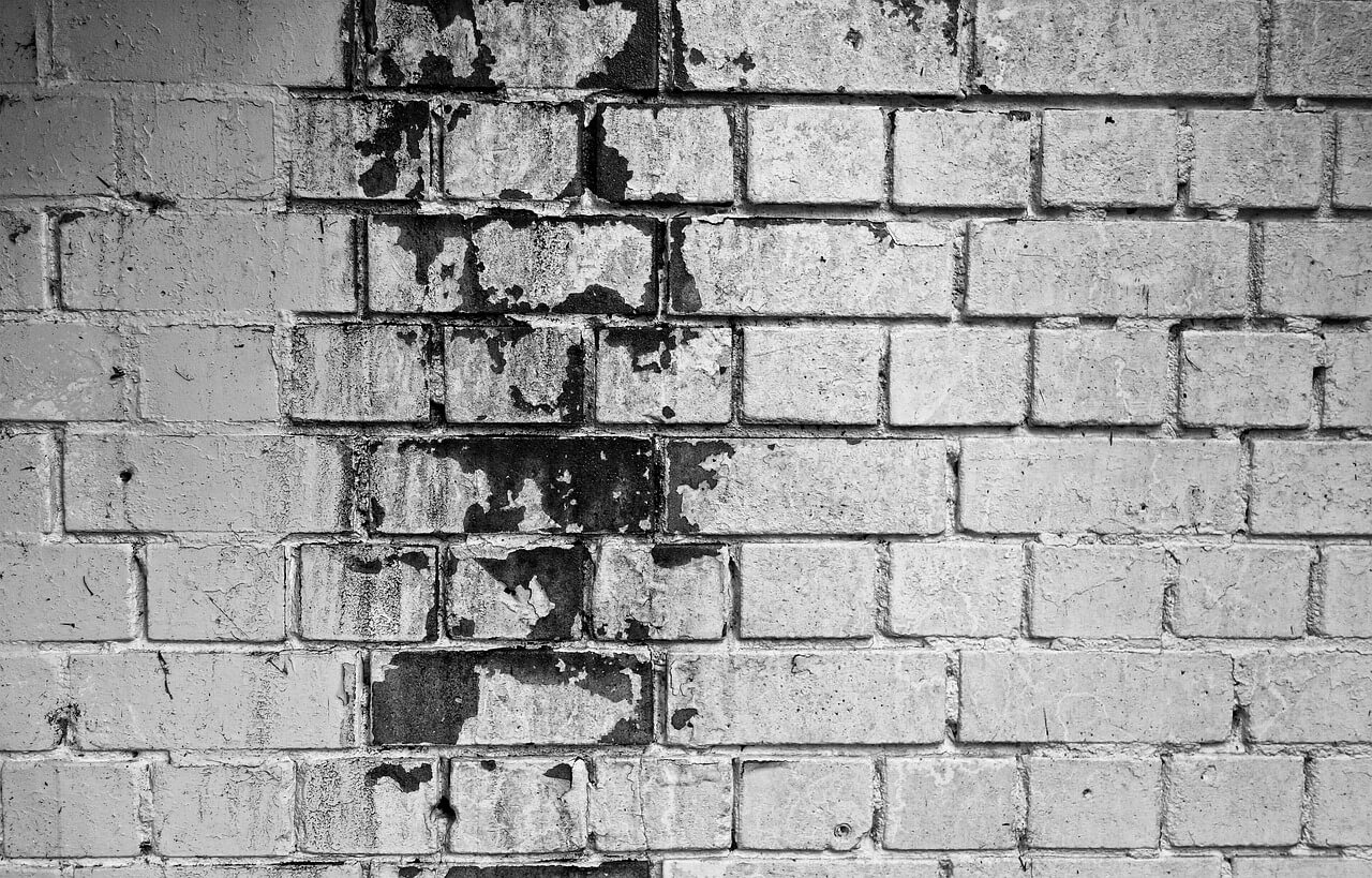 Brick wall, mold