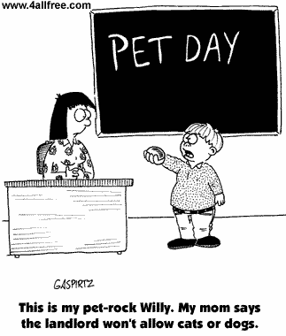 Pet Day - This is my pet-rock Willy. My Mom says the landlord won't allow cats or dogs