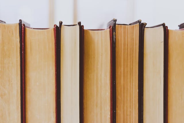 Books in a row. Image by Pexels