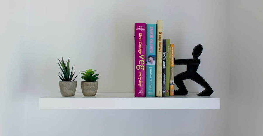 Books neatly arranged on contemporary shelving with decorative plants demonstrating an organized home library reading space