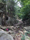 Pergatory Chasm Sutton MA