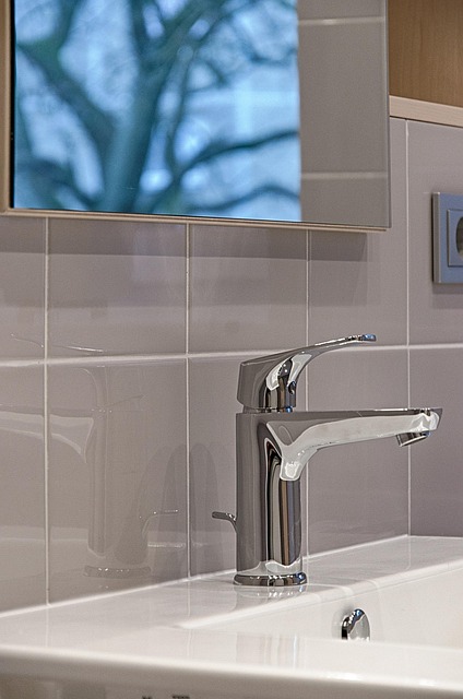 Professional checking water, plumber