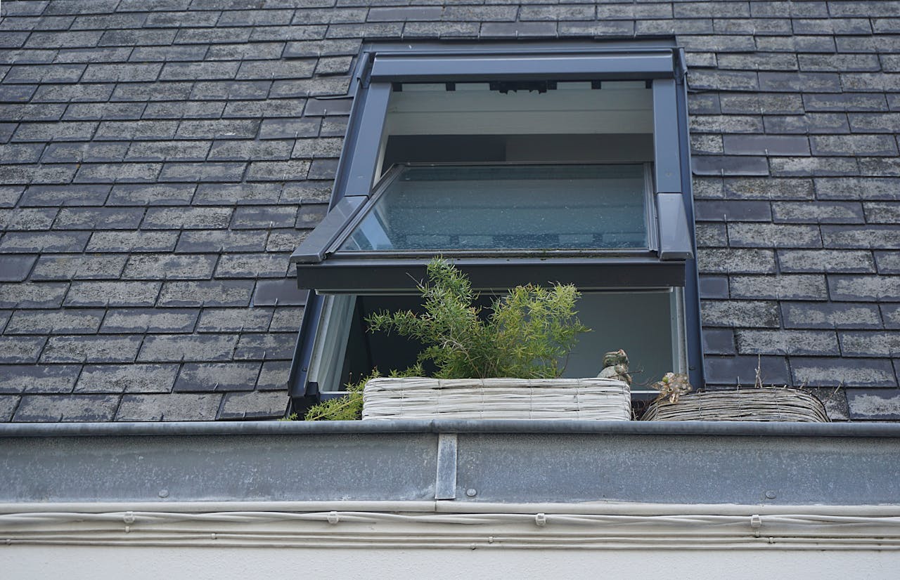 Roof, window