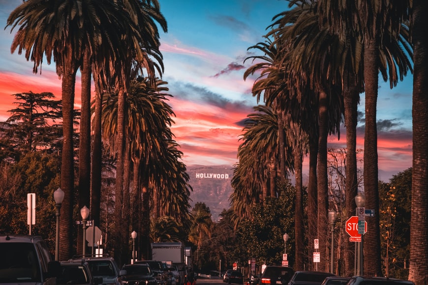 Los Angles, road with palm trees. Hollywood sign in the background